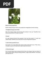 Download Macam-Macam Manfaat Tumbuhan Disekitar Kita by munawaroh SN141206409 doc pdf