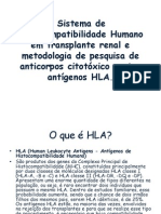 Palestra HLA