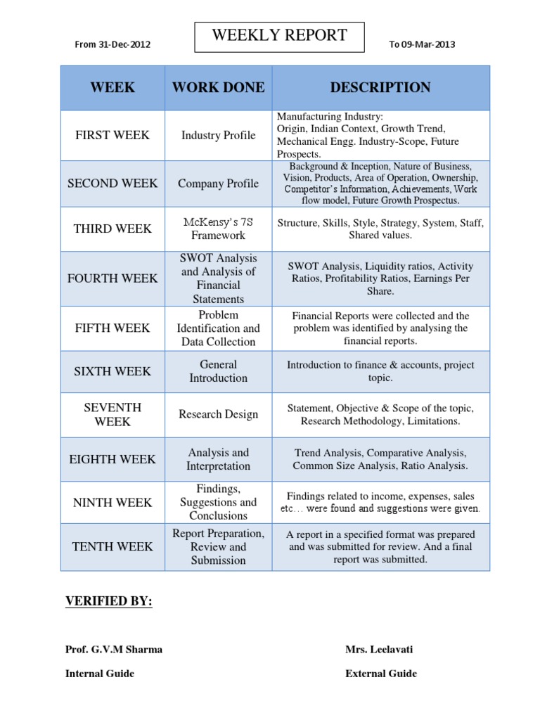 Weekly Report | PDF