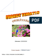 5 Proiect Tematic