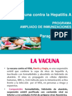 Lineamientos Vacunacion Contra La Hepatitis A