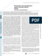 Helical Orientations Gpcr SalvinA 2007