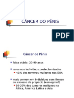AULA 8 - Tumor de Pênis