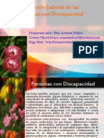 Pps Insercion Laboral Personas Discapacidad