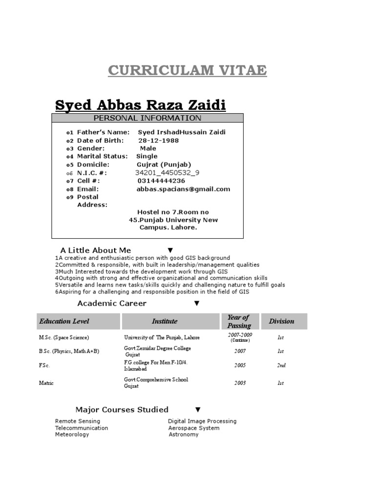 Syed Abbas Raza Zaidi | PDF | Geographic Information System | Cognition