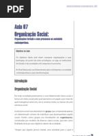 Organização Social_aula07
