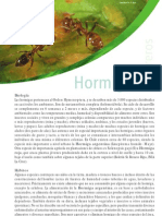 Hormigas PDF