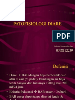 PathWay Diare.pdf