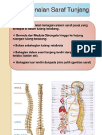 Saraf Tunjang