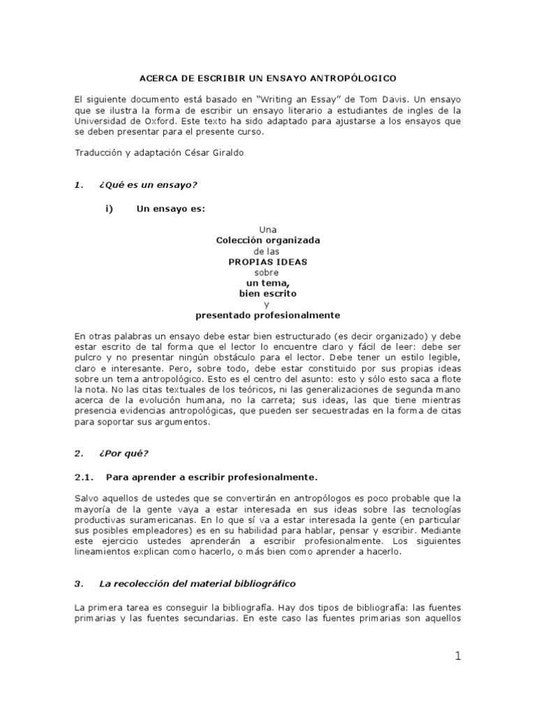 Como escribir un ensayo image