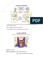 Glândulas...pdf