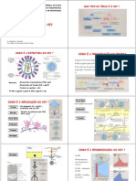 Microsoftpowerpoint Aula11 Respostaimunehiv 091103121638 Phpapp02