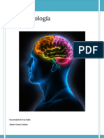 Neurofisiologia. Reflejos PDF
