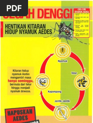 Kitaran Nyamuk