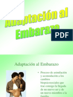 adaptaciónembarazo