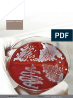 Medios de Cultivo