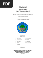Download Makalah Biokimia Annorganik Air Vitamin Mineral by SOPANDI SN141331610 doc pdf