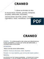 CRANEO Diapositiva