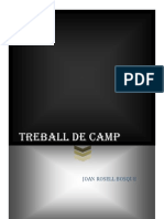 Treball de Camp_Joan