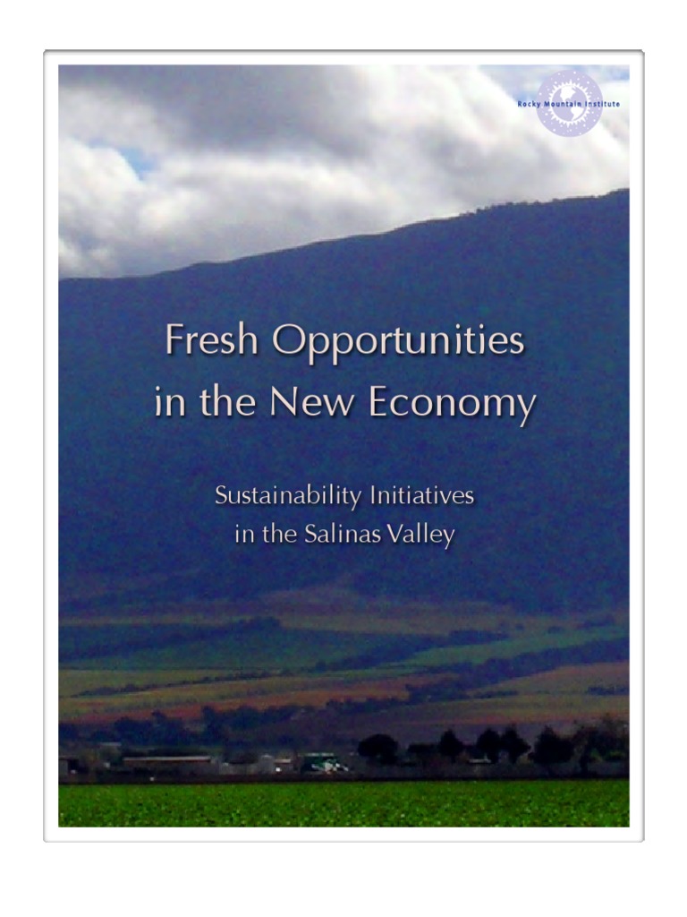 Rmi Salinas Report Final Draft PDF Efficient Energy Use