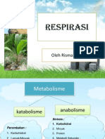 Tugas Respirasi Fistum3