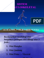 Fisiologi Sistem Muskuloskeletal DR Sonny