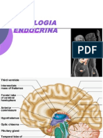 Fisiologia Endócrina