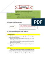 Sistem Pernapasan Manusia