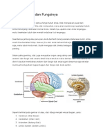 Anatomi Otak dan Fungsinya.docx