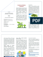 Trifoliar Medio Ambiente