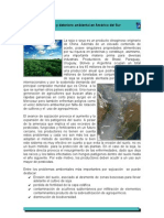 Sojización y Deterioro Ambiental en América Del Sur