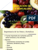 Deshidratación de frutas y hortalizas