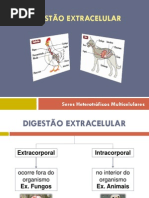 5.Digestao_Extracelular