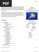 Download jellyfish by vkg214 SN141434958 doc pdf