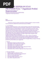 Download MakalahKeperawatanProfessionalbyIkBenEchaCaktiSN141445424 doc pdf
