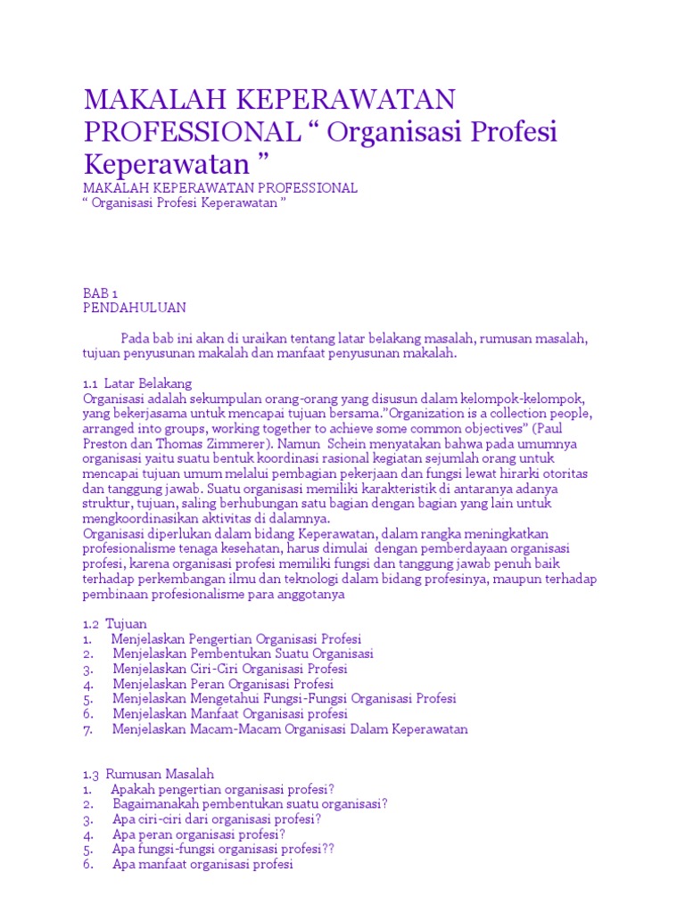 Makalah Keperawatan Professional