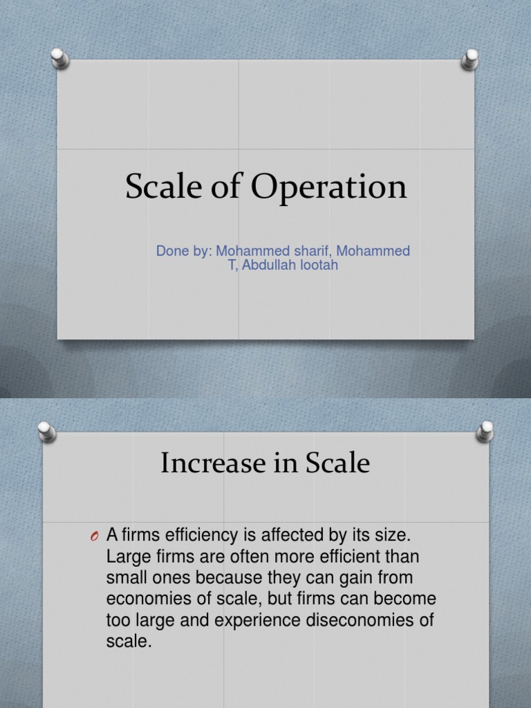 Scale of Operation Economies Of Scale Externality
