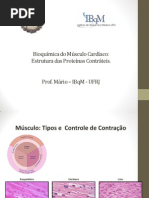 1 Estrutura e Funcao Das Proteinas Contrateis