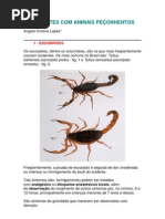 ACIDENTES COM ANIMAIS PEÇONHENTOS