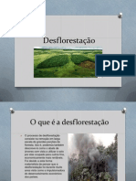 Desflorestação Tiago Saraiva