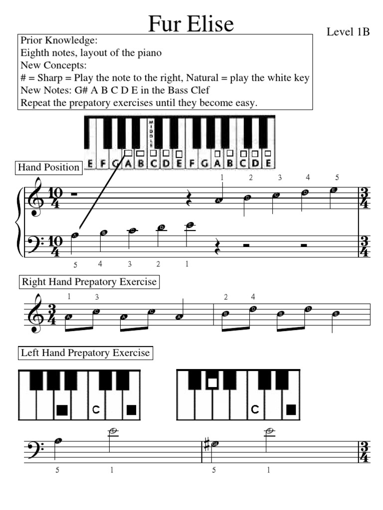 Fur Elise For Absolute Beginners | Pdf