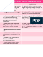 Download Reacciones Quimicas Que Ocurren en La Fotosintesis by Kimberly Vega SN141546004 doc pdf