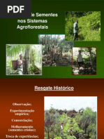 Manejo de Plantas Nos SAFs