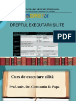 Executare Silita