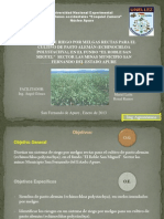 LAMINAS DE CULTIVO DE PASTO ALEMÁN [Reparado]