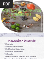 MATURAÇÃO E DISPERSÃO