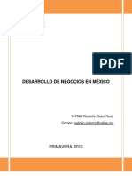 Desarrollo de Negocios en México Final