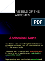 Abdominal Aorta and IVC