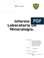 Informe Mineralogia Solis