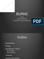 Burns Presentation